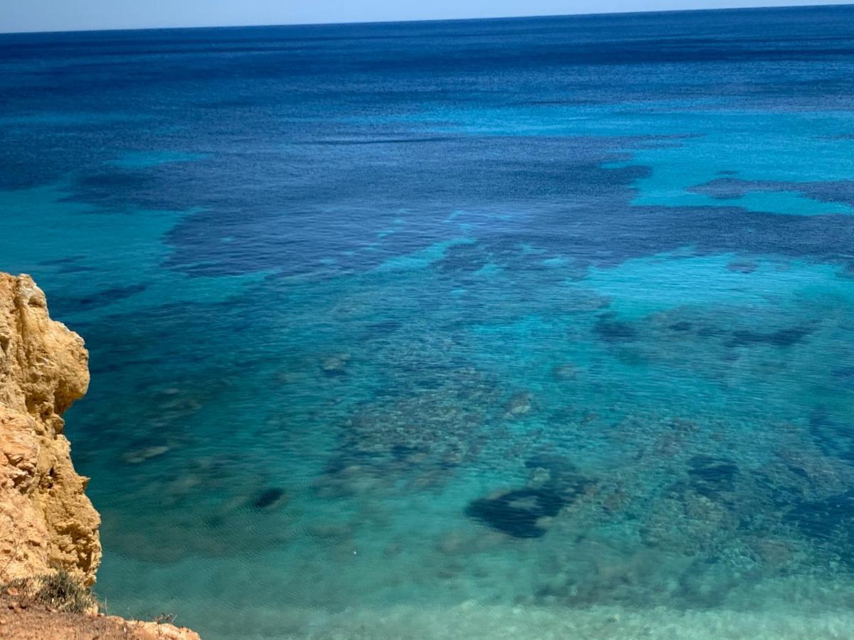 산타 에우랄리아 데 리오 Ibiza Paradise B&B 외부 사진